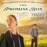 The Promise Box, Tricia Goyer