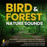 Bird  Forest Nature Sounds, Pacific Wave Therapy