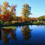 Affirmations for Change, Strength, Co..., Diane Tusek