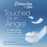 Chicken Soup for the Soul Touched by..., Amy Newmark