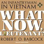 What Now, Lieutenant?, Robert O. Babcock