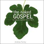 The Naked Gospel The Truth You May Never Hear in Church, Andrew Farley