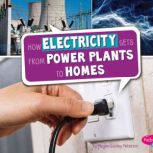 How Electricity Gets from Power Plant..., Megan Cooley Peterson