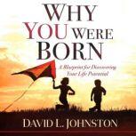 Why You Were Born, David L Johnston