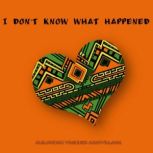 I Dont Know What Happened, Alejandro Vasquez Arrivillaga