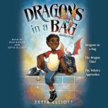 Dragons in a Bag Books 13, Zetta Elliott