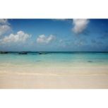 Relaxing, Tranquil Music, Diane Tusek