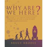 Why Are We Here?, Bruce Brodie