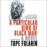 A Particular Kind of Black Man, Tope Folarin