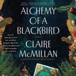 Alchemy of a Blackbird, Claire McMillan