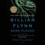 Dark Places, Gillian Flynn