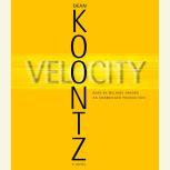 Velocity, Dean Koontz