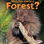 What Can Live in a Forest?, Sheila Anderson