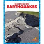 Earthquakes, Cari Meister