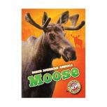 Moose, Megan BorgertSpaniol