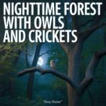 Nighttime Forest with Owls and Cricke..., Sleep Master