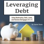 Leveraging Debt, Daniel Shore