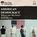 American Democracy, Austin Sarat