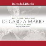 De Gabo a Mario Una breve historia del boom latinoamericano, Angel Esteban