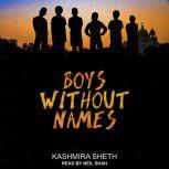 Boys Without Names, Kashmira Sheth
