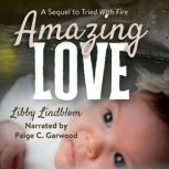 Amazing Love, Libby Lindblom