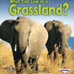 What Can Live in a Grassland?, Sheila Anderson