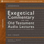 Nahum Audio Lectures, Daniel C. Timmer