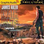 Labyrinth, James Axler