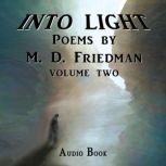 Into Light Volume Two, M. D. Friedman