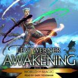 Awakening A LitRPG/GameLit Series, Levi Werner