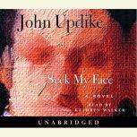 Seek My Face, John Updike