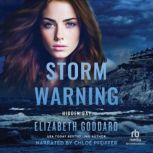 Storm Warning, Elizabeth Goddard