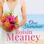 One Summer, Roisin Meaney