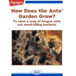 How Does the Ants Garden Grow?, Mariana Relos