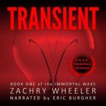 Transient A Tech Noir Novel, Zachry Wheeler