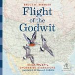Flight of the Godwit, Bruce M. Beehler