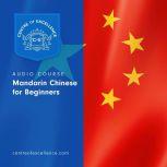 Mandarin Chinese for Beginners, Centre of Excellence