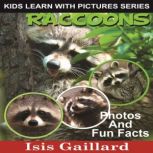 Raccoons Photos and Fun Facts for Kids, Isis Gaillard