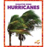 Hurricanes, Cari Meister