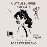 A Little Lumpen Novelita, Roberto Bolano