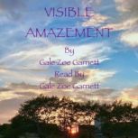 Visible Amazement, Gale Zoe Garnett