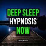 Deep Sleep Hypnosis Now, Calming Hypnosis