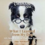 Chicken Soup for the Soul What I Lea..., Amy Newmark