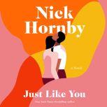 Just Like You A Novel, Nick Hornby