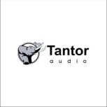 If You Left, Ashley Prentice Norton