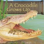A Crocodile Grows Up, Amanda Doering Tourville