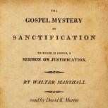 The Gospel Mystery of Sanctification, Walter Marshall