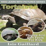 Tortoises, Isis Gaillard