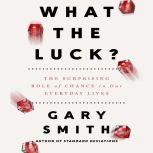 What the Luck? The Surprising Role of Chance in Our Everyday Lives, Gary Smith