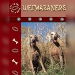 Weimaraners, Lynn Stone